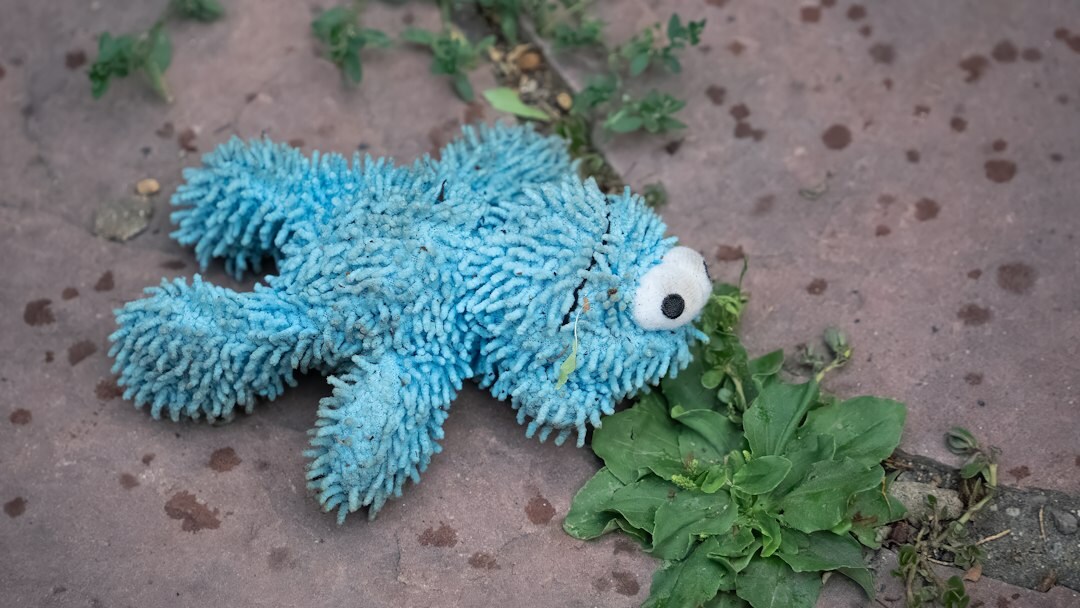 crime scene investigation