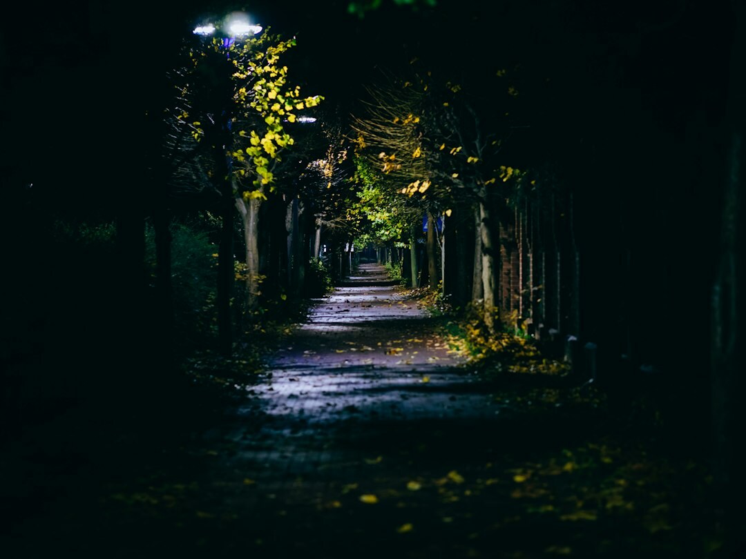 shadowy alley at night